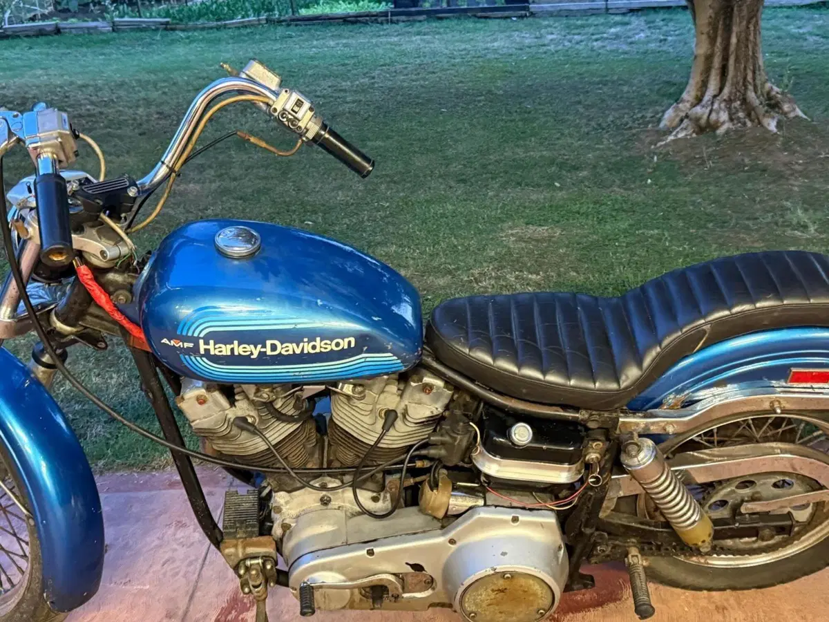 Harley-Davidson FXE 1200 Shovelhead (11)