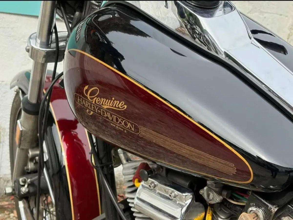 Harley-Davidson 1340 Low Rider (1982 - 85) - FXR (8)