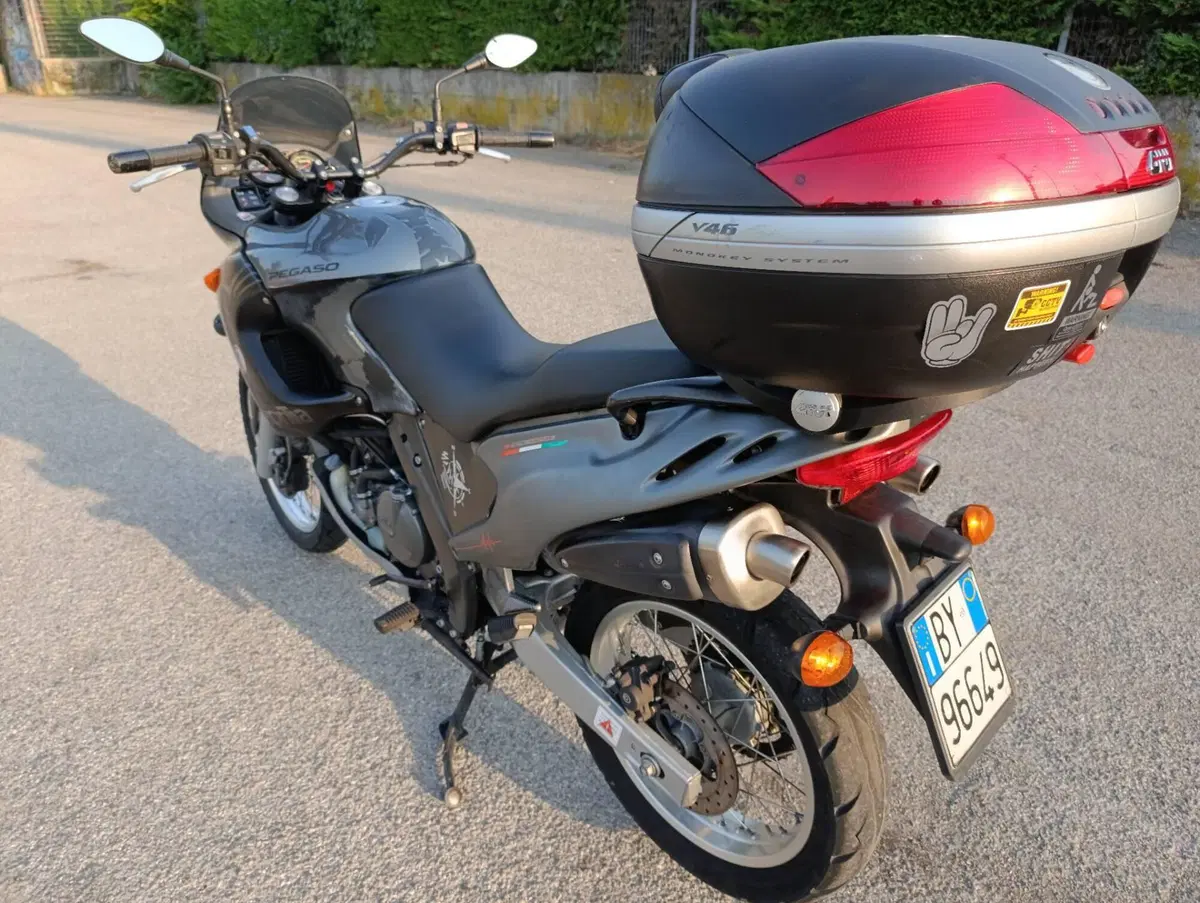 Aprilia Pegaso 650 IE (2003 - 04) (4)