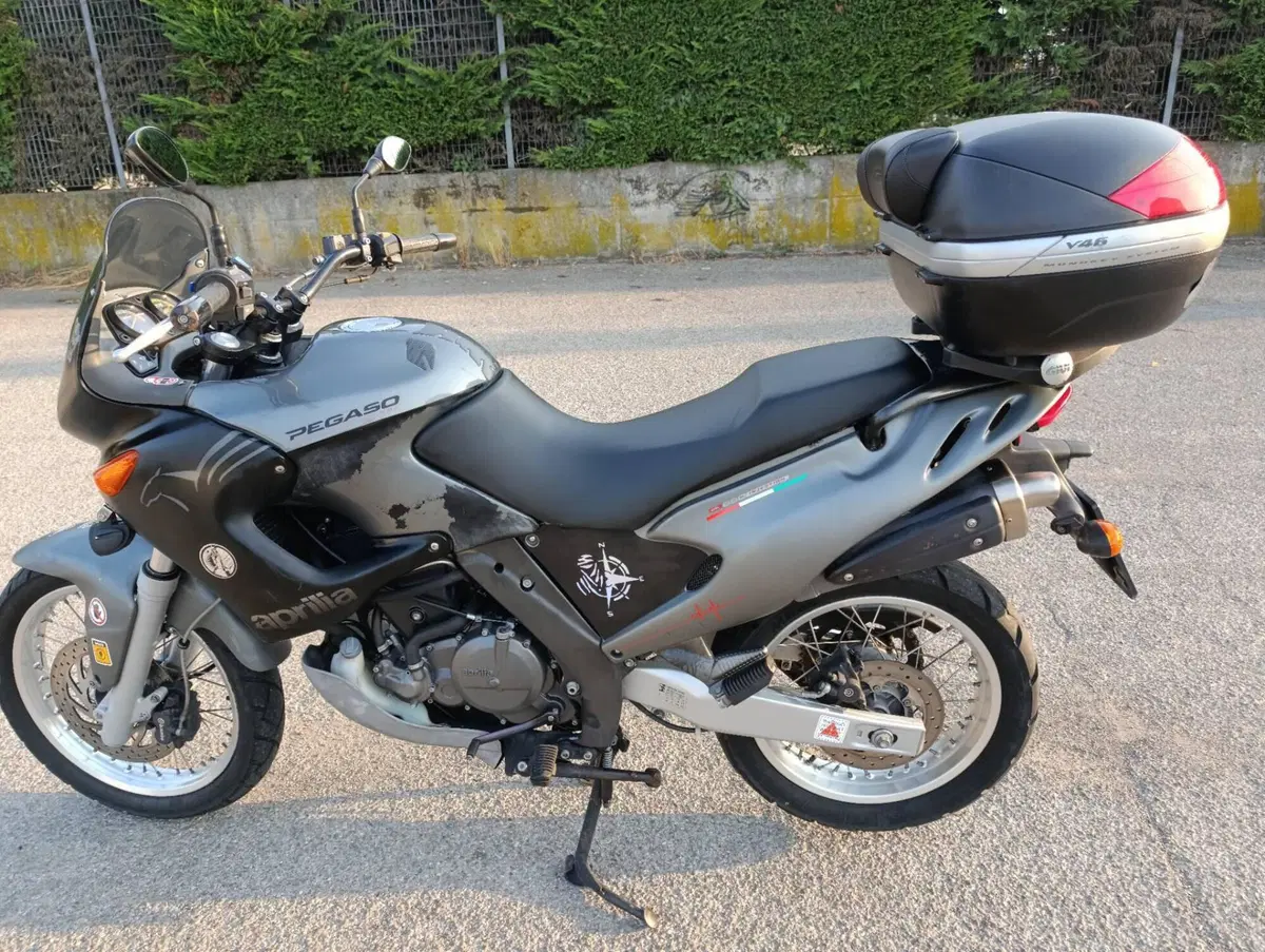 Aprilia Pegaso 650 IE (2003 - 04) (6)