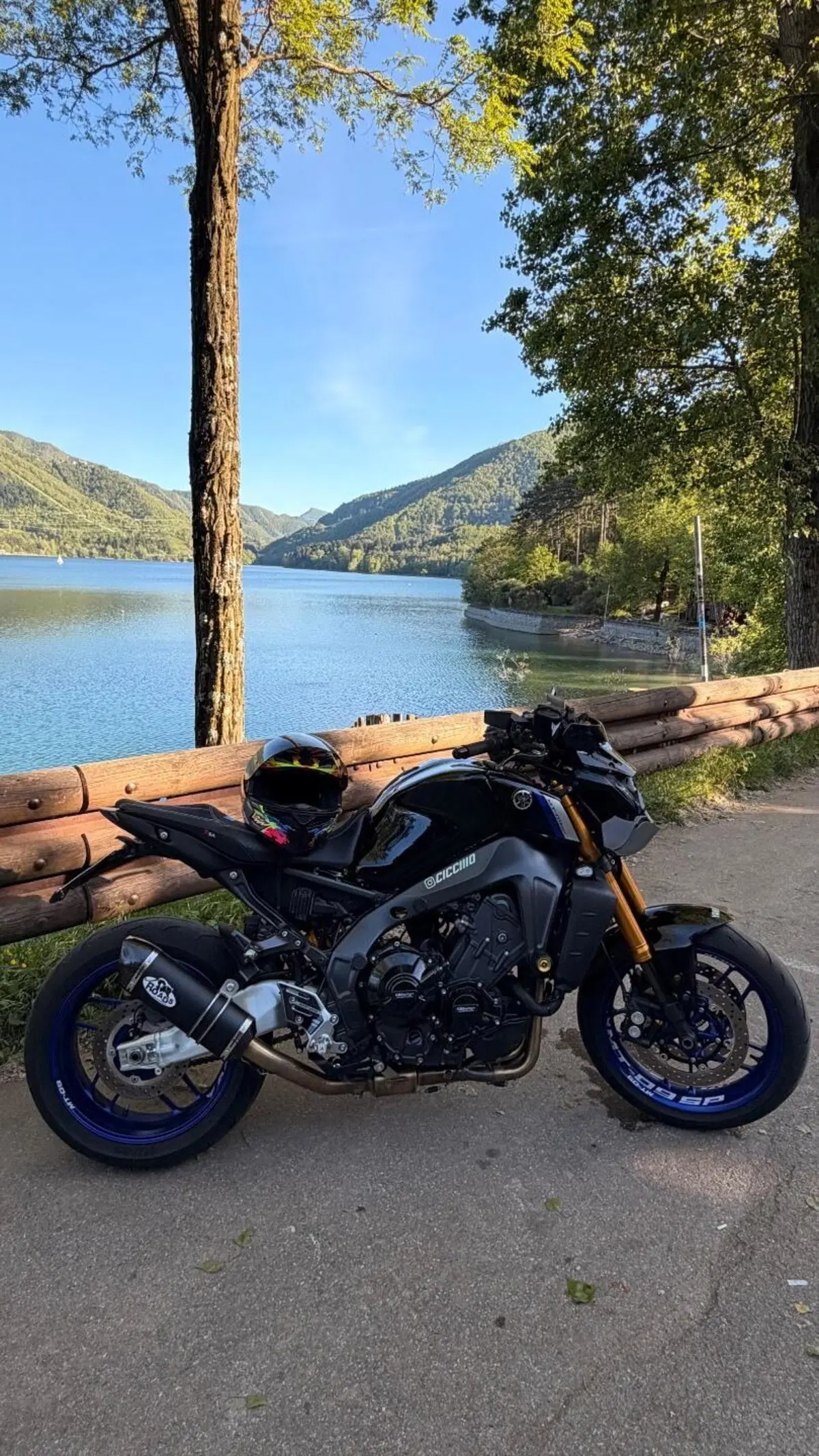 Yamaha MT-09 SP (2021 - 23) (2)