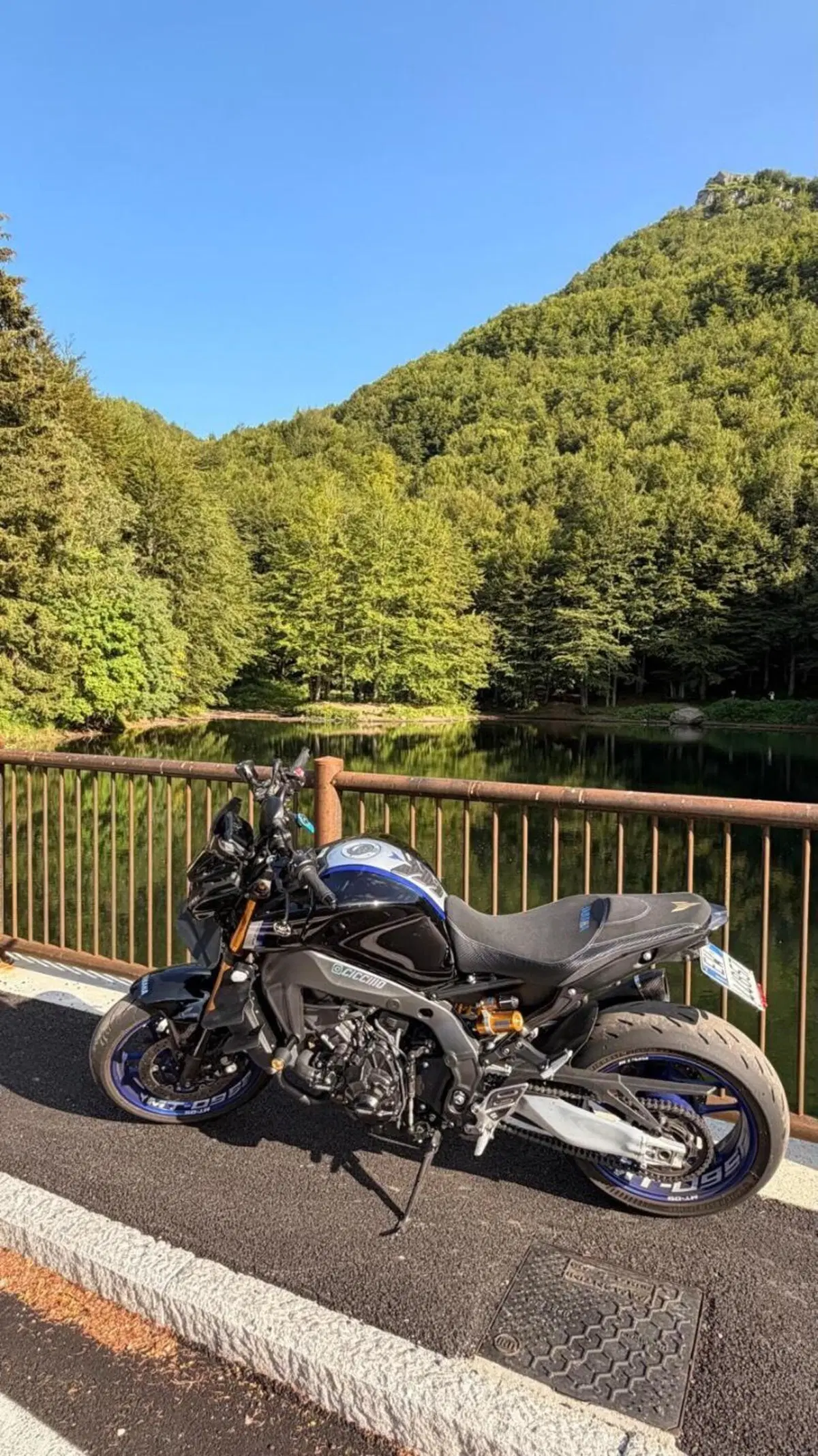 Yamaha MT-09 SP (2021 - 23) (3)