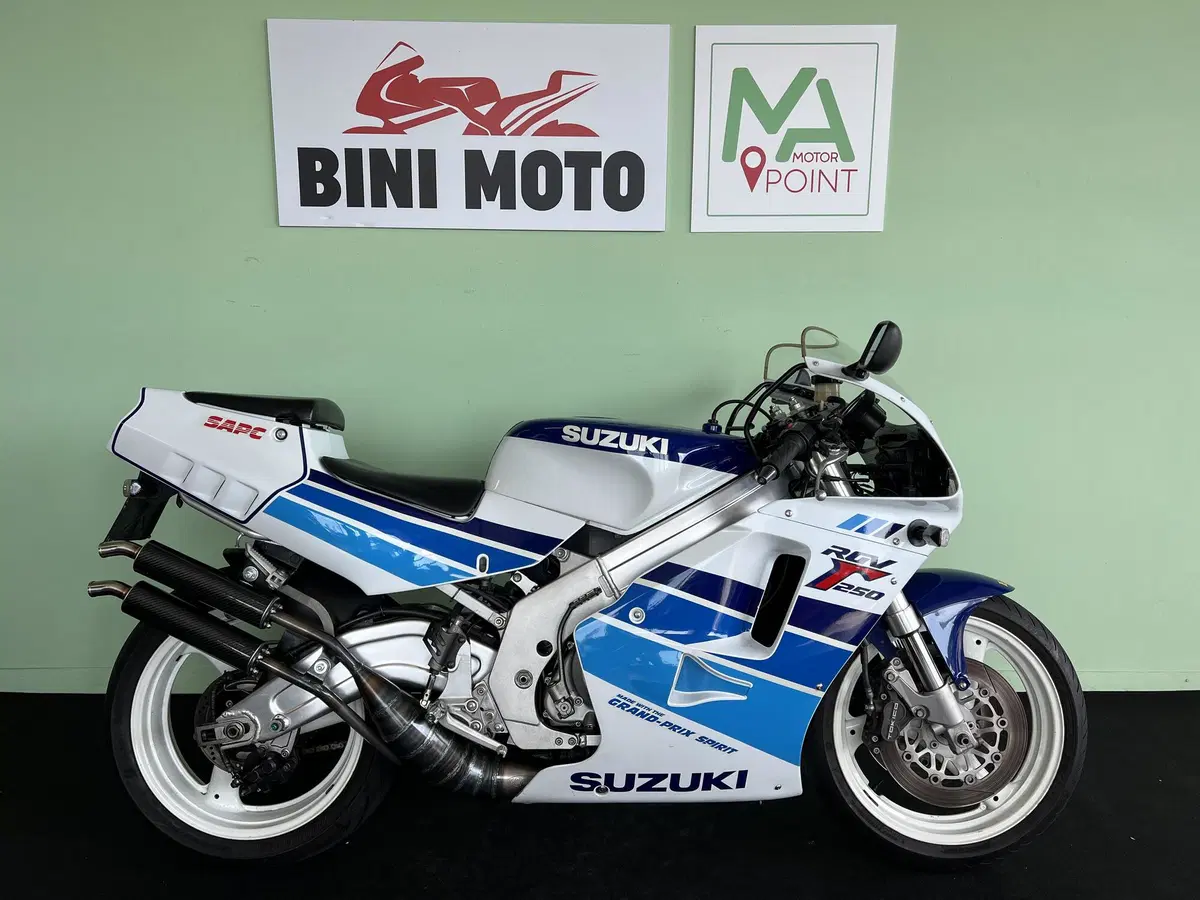 Suzuki RGV 250 (1989 - 97)