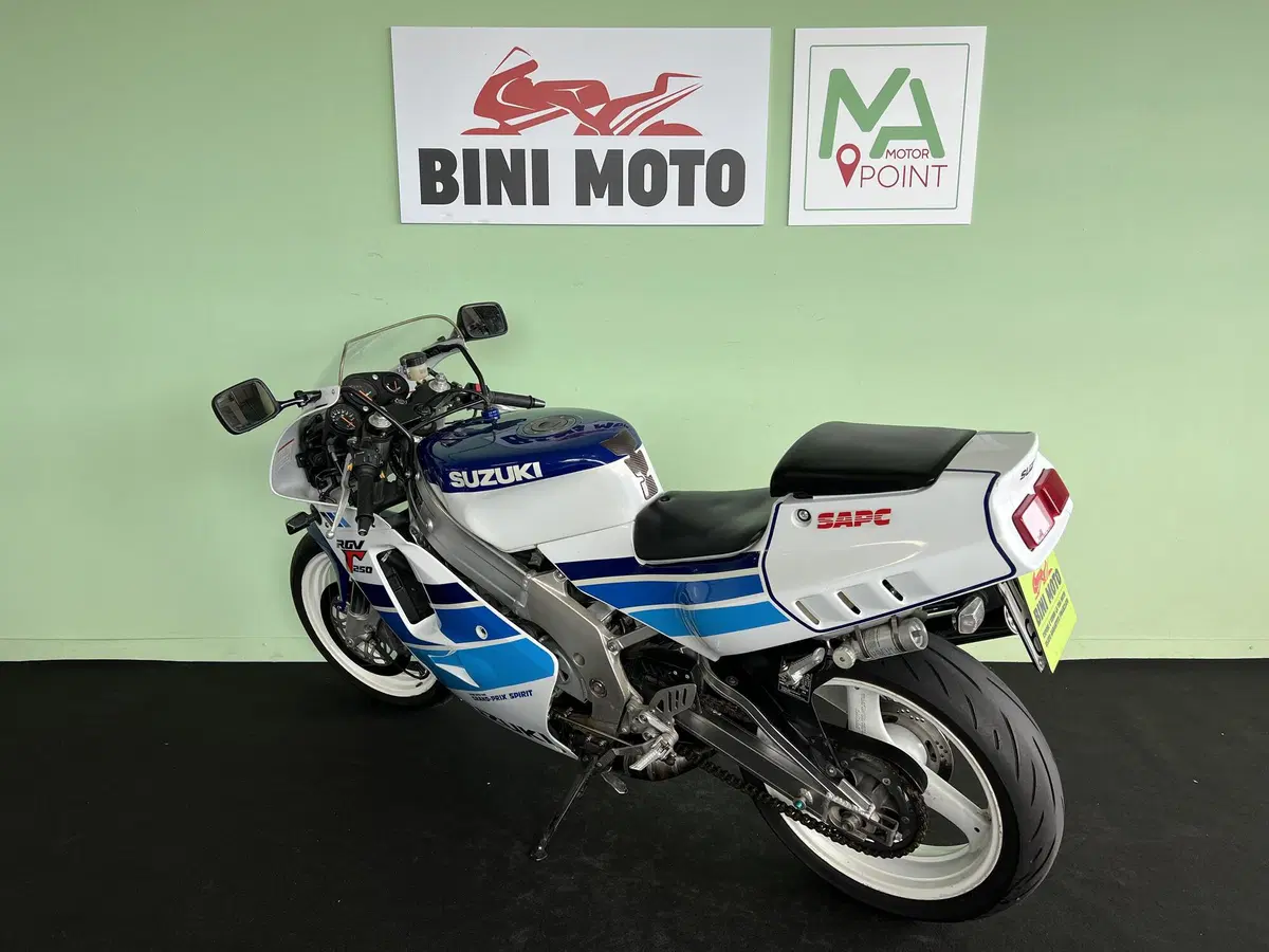 Suzuki RGV 250 (1989 - 97) (6)