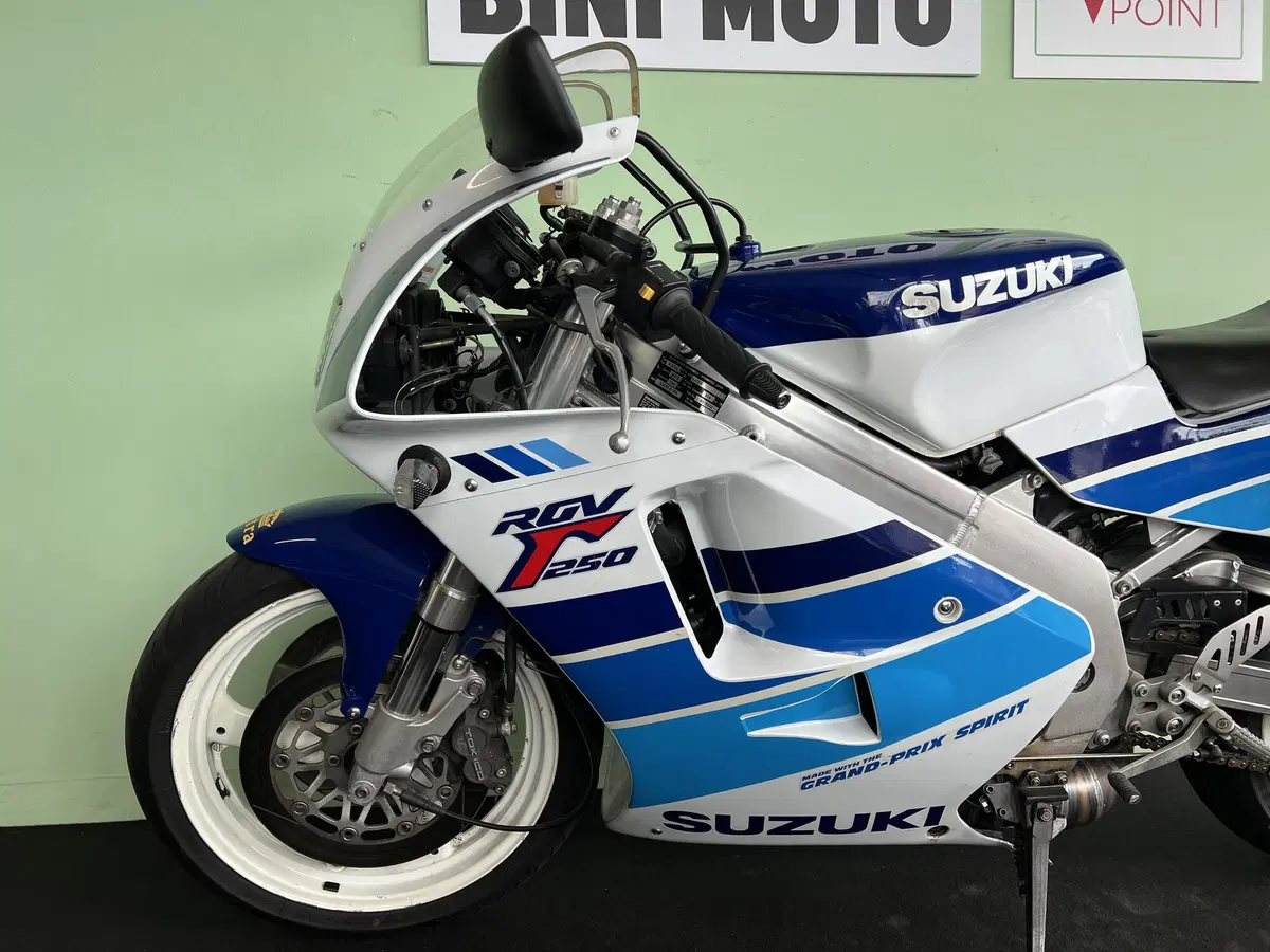 Suzuki RGV 250 (1989 - 97) (14)
