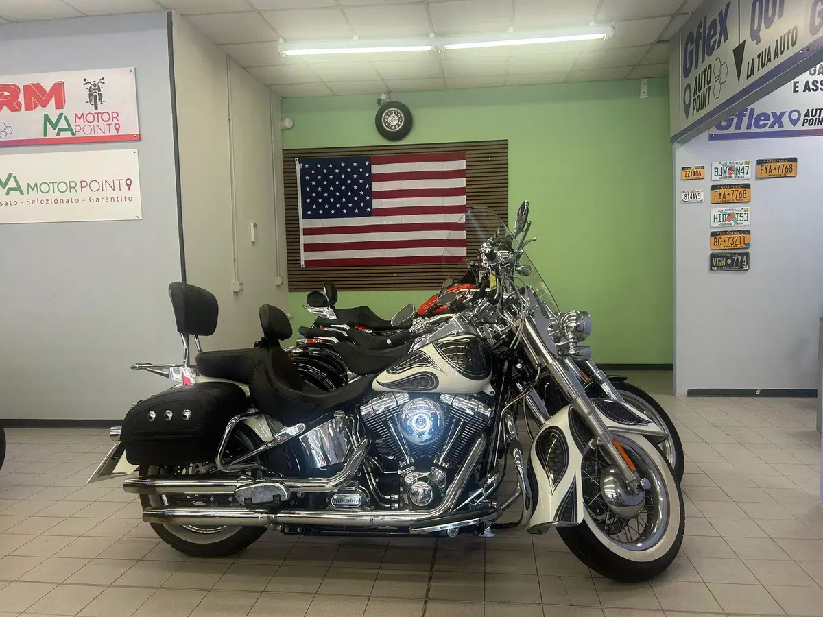 Harley-Davidson 1690 Deluxe ABS (2011 - 16) - FLSTN (2)