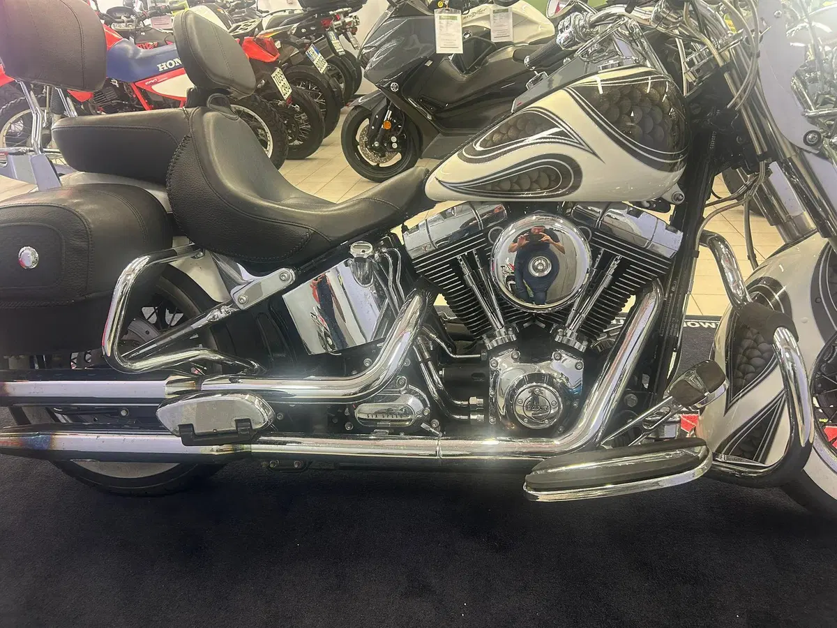 Harley-Davidson 1690 Deluxe ABS (2011 - 16) - FLSTN (12)