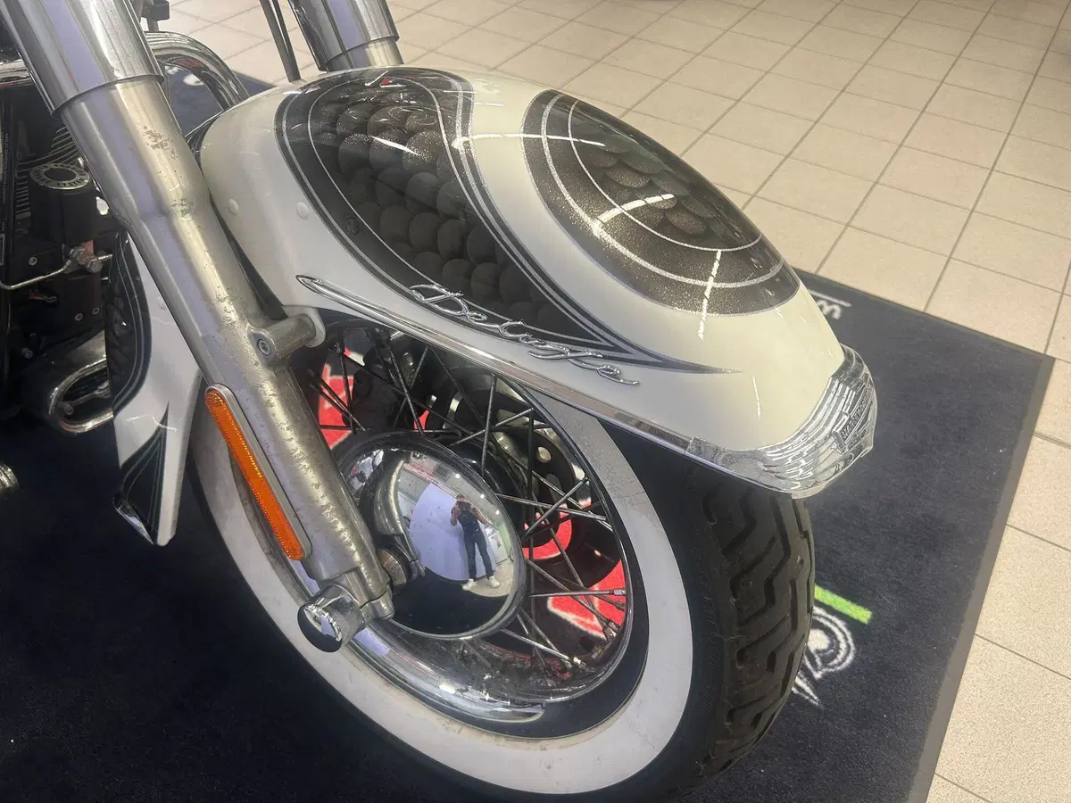 Harley-Davidson 1690 Deluxe ABS (2011 - 16) - FLSTN (16)