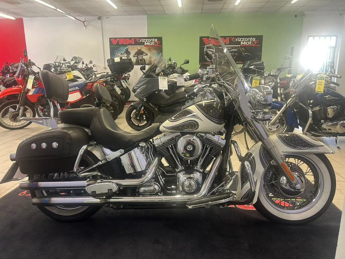 Harley-Davidson 1690 Deluxe ABS (2011 - 16) - FLSTN (17)