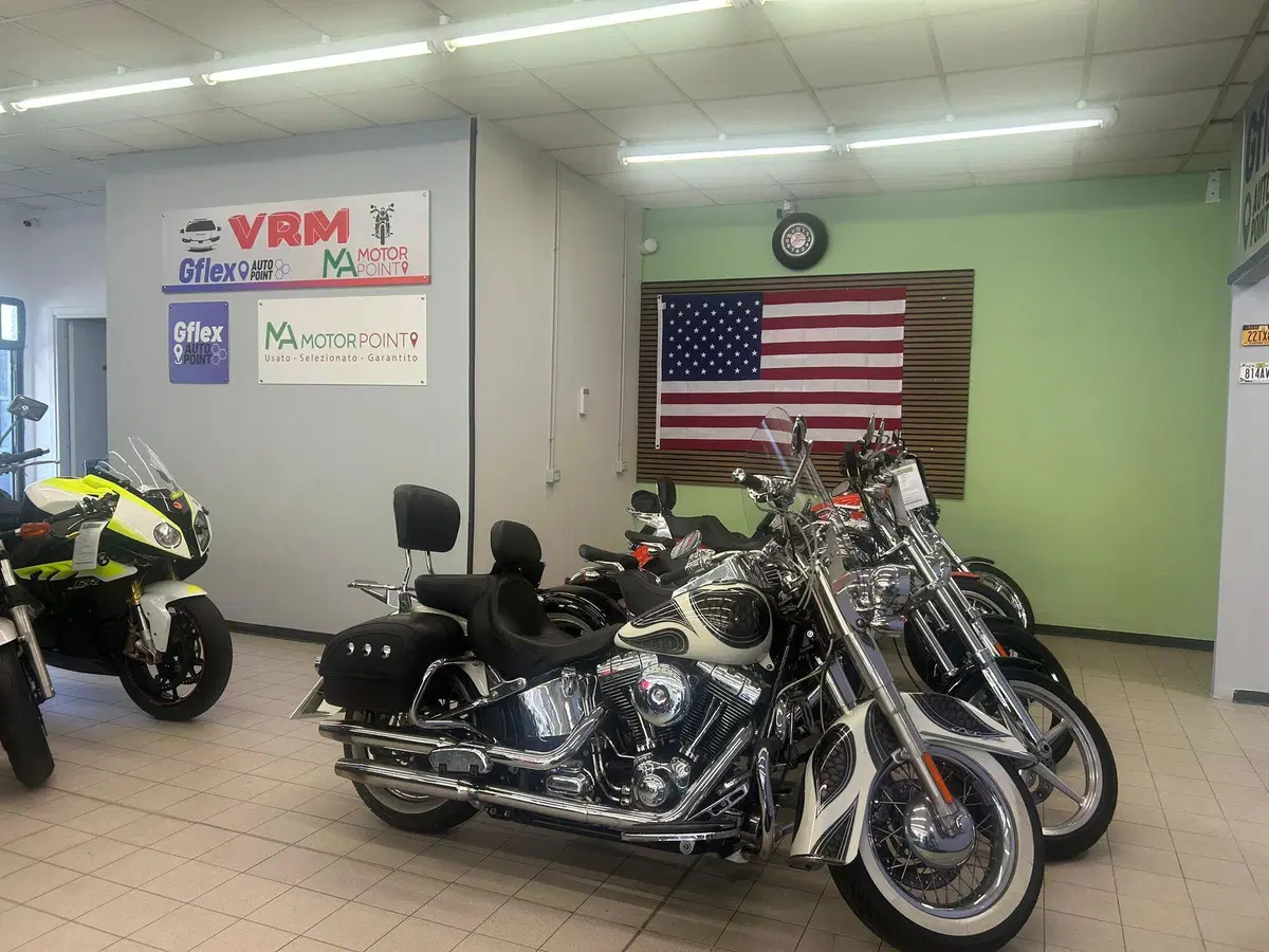 Harley-Davidson 1690 Deluxe ABS (2011 - 16) - FLSTN (20)