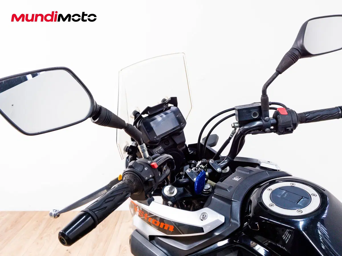 Suzuki V-Strom 250 (2017 - 20) (11)