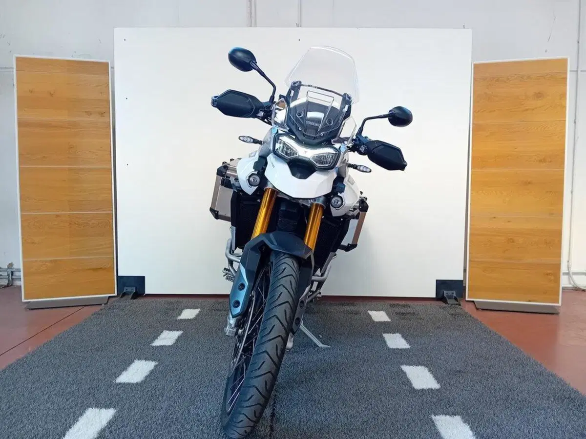 Triumph Tiger 900 Rally Pro (2020 - 23) (5)