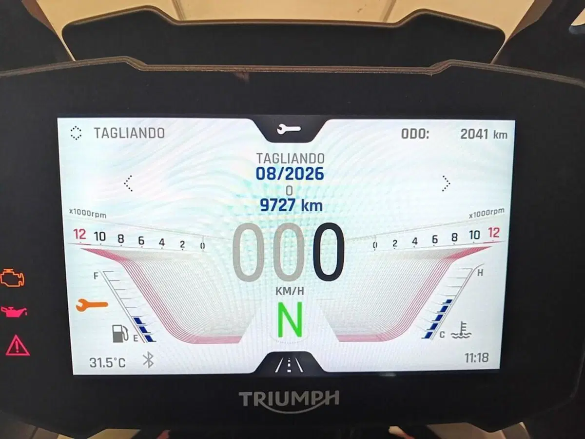 Triumph Tiger 900 Rally Pro (2020 - 23) (8)