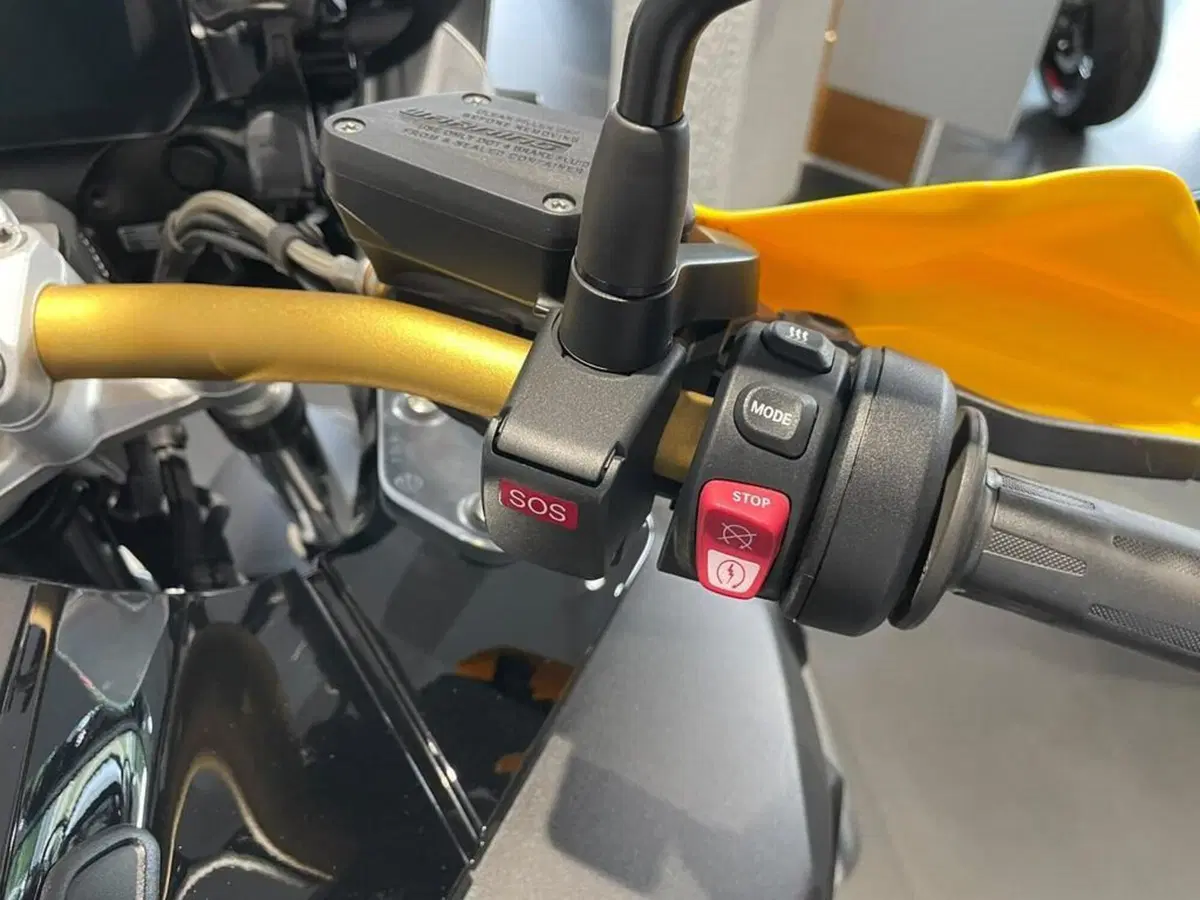 Bmw R 1250 GS Adventure (2021 - 24) (10)