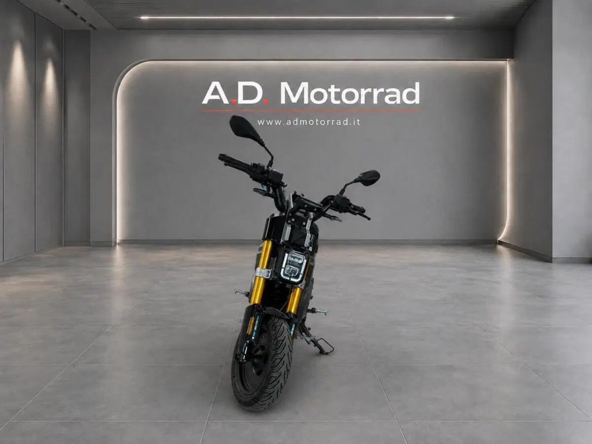 Bmw CE 02 (2024 - 26) (2)