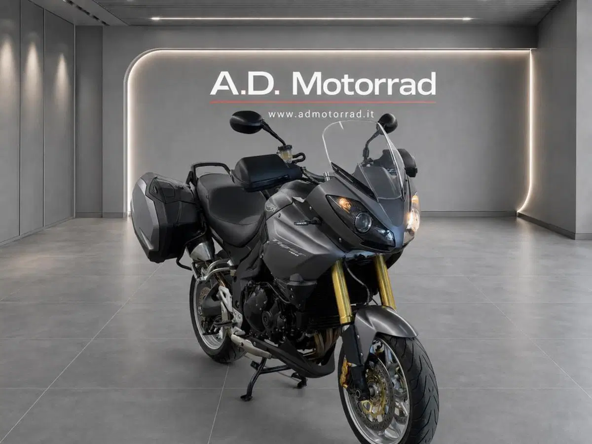 Triumph Tiger 1050 SE ABS (2006 - 13) (3)