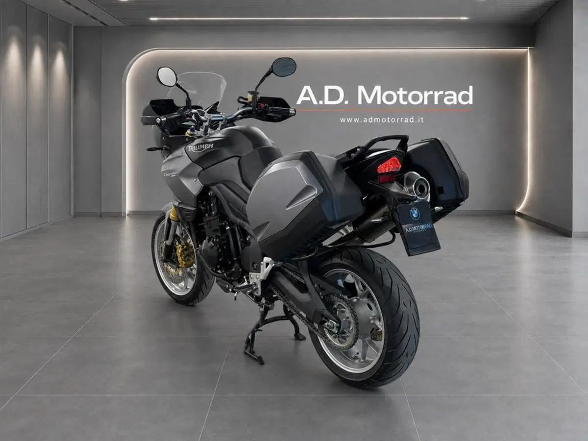 Triumph Tiger 1050 SE ABS (2006 - 13) (7)