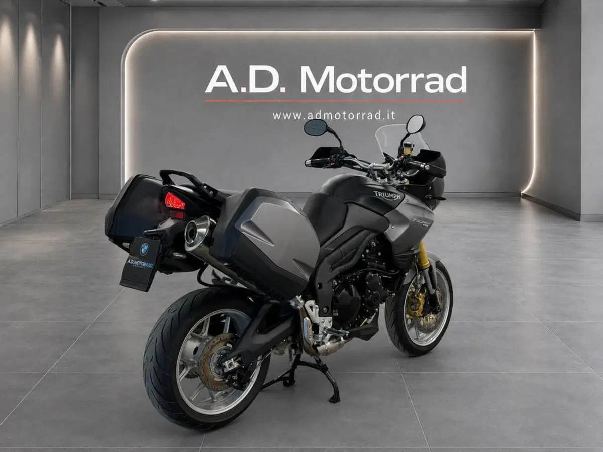 Triumph Tiger 1050 SE ABS (2006 - 13) (5)