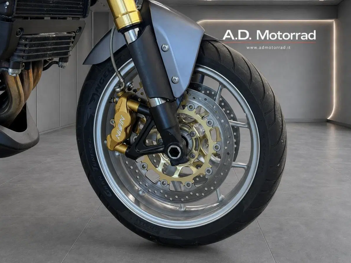 Triumph Tiger 1050 SE ABS (2006 - 13) (9)