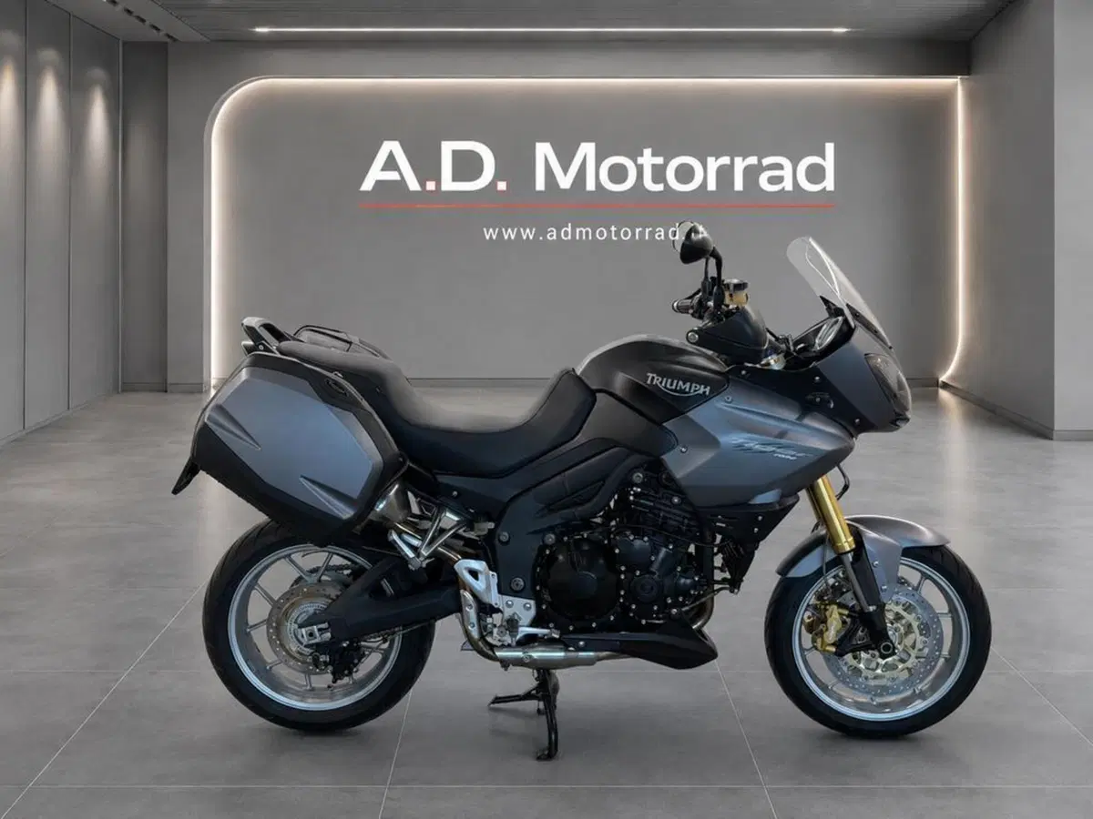 Triumph Tiger 1050 SE ABS (2006 - 13) (4)