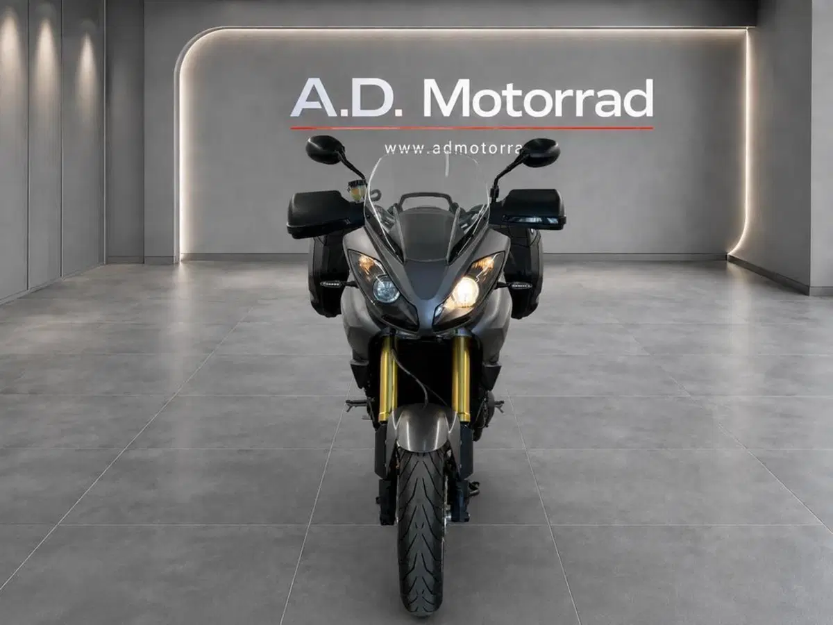 Triumph Tiger 1050 SE ABS (2006 - 13) (2)