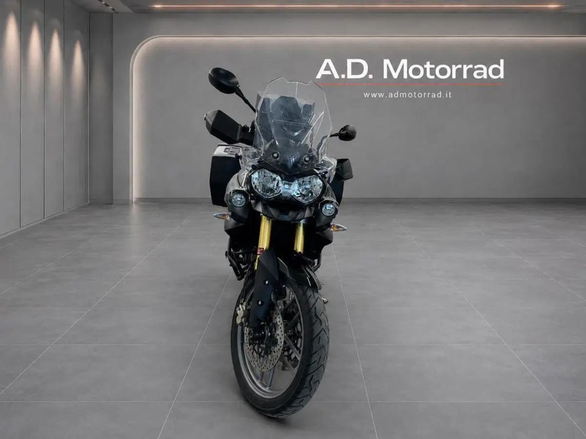 Triumph Tiger 800 ABS (2010 - 14) (3)