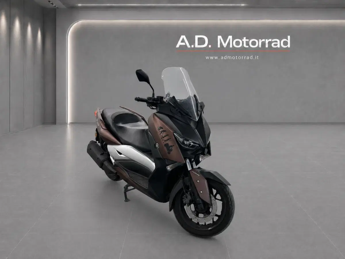 Yamaha X-Max 300 ABS (2017 - 20) (3)