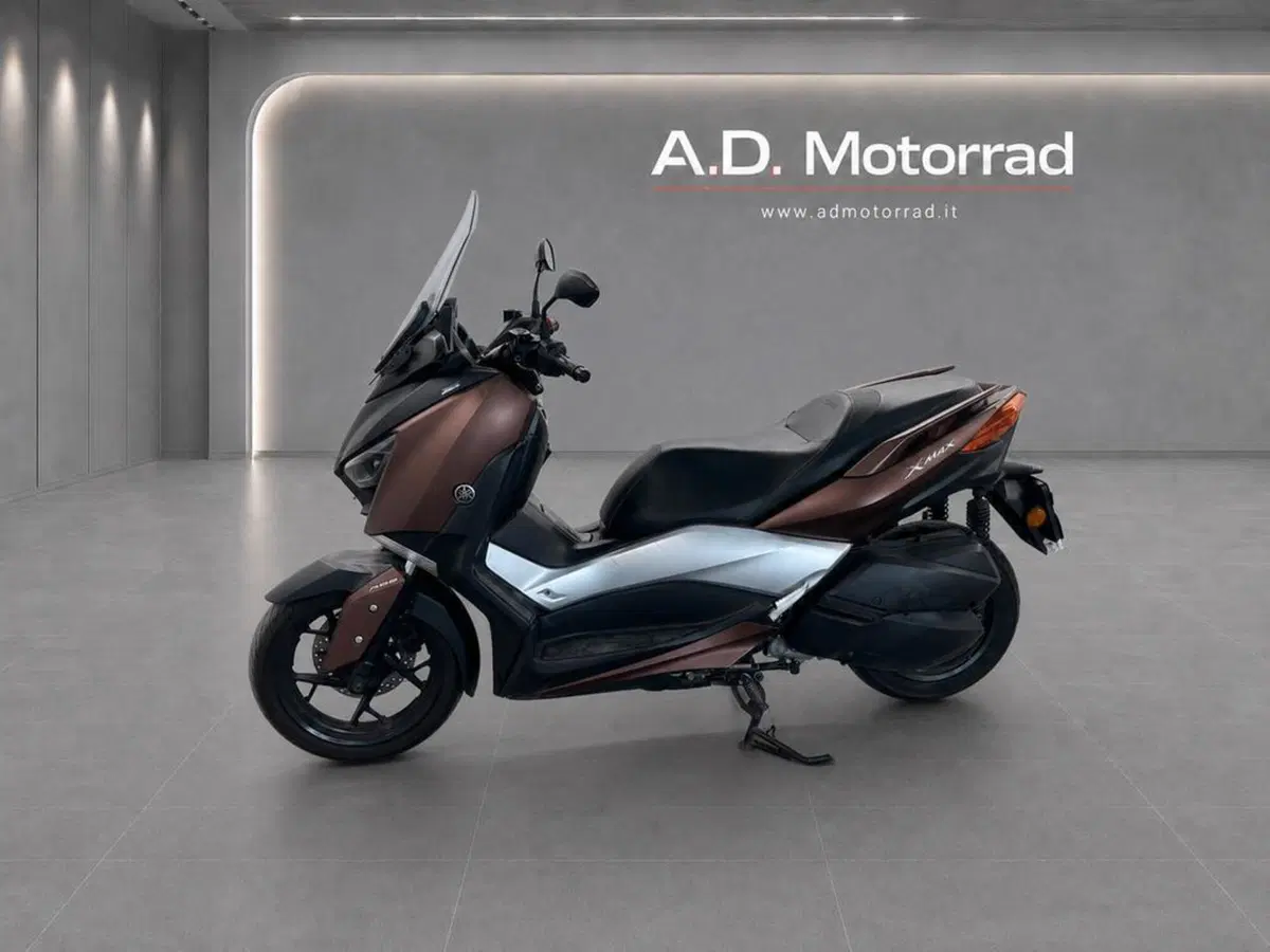 Yamaha X-Max 300 ABS (2017 - 20) (4)