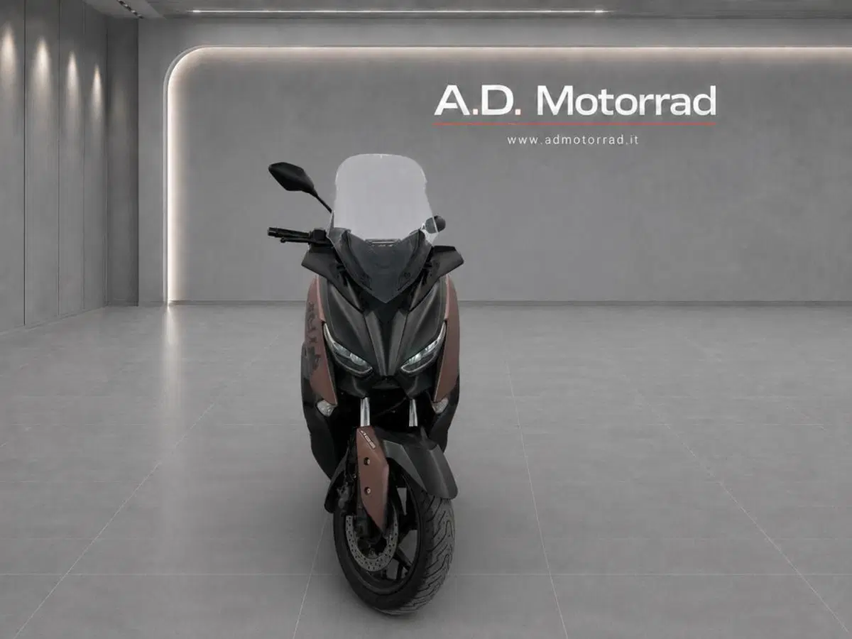 Yamaha X-Max 300 ABS (2017 - 20) (2)