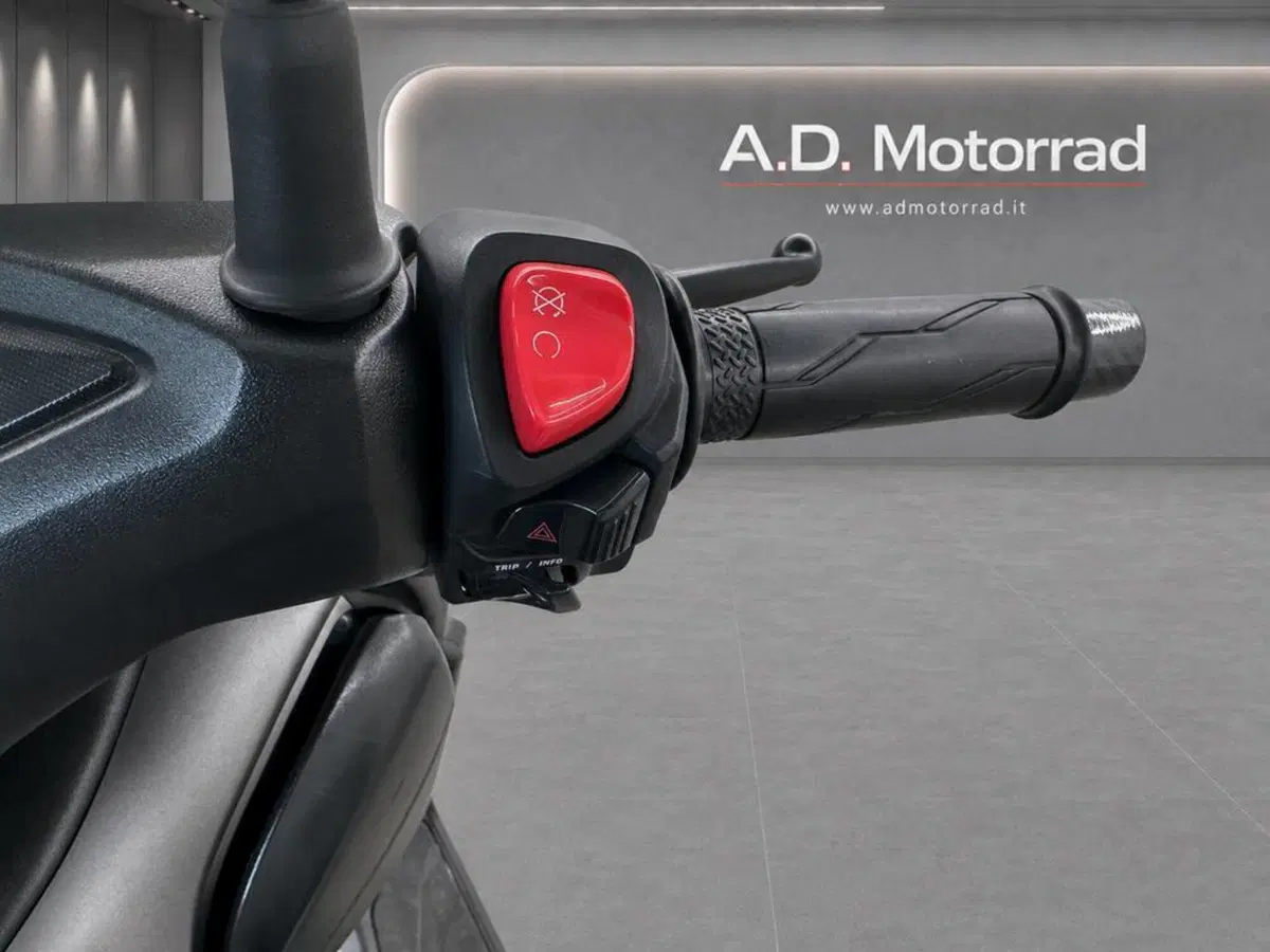 Yamaha X-Max 300 ABS (2017 - 20) (8)