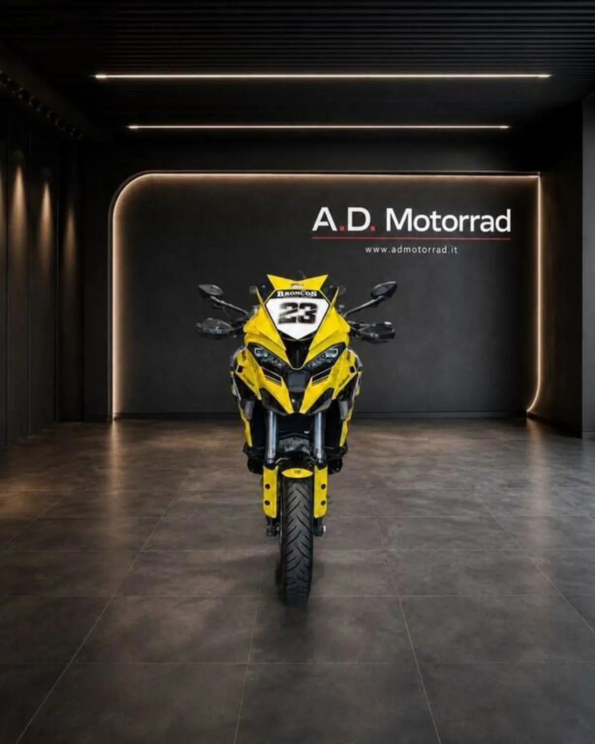 Ducati Multistrada V4 Rally (2023 - 25) (3)