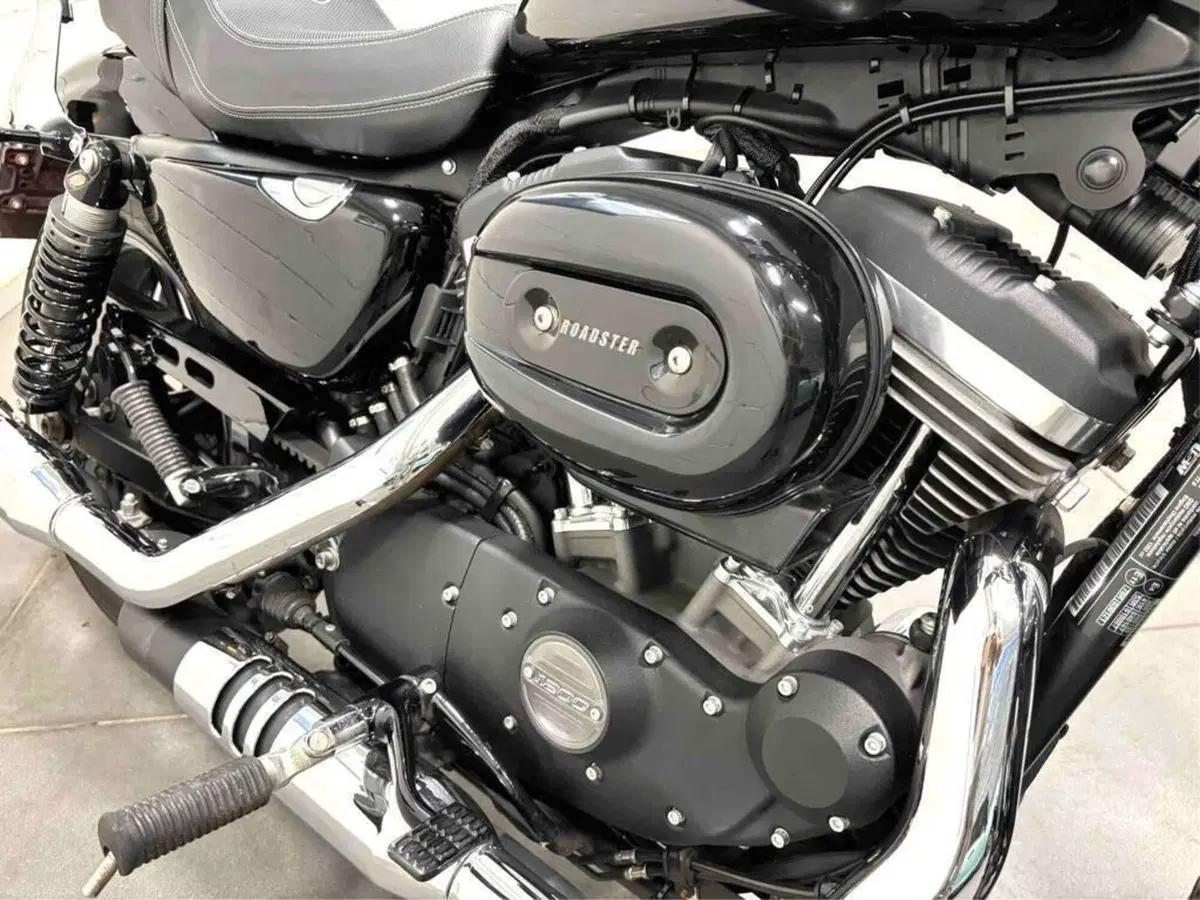 Harley-Davidson 1200 Roadster (2016 - 2017) - XL 1200R (4)