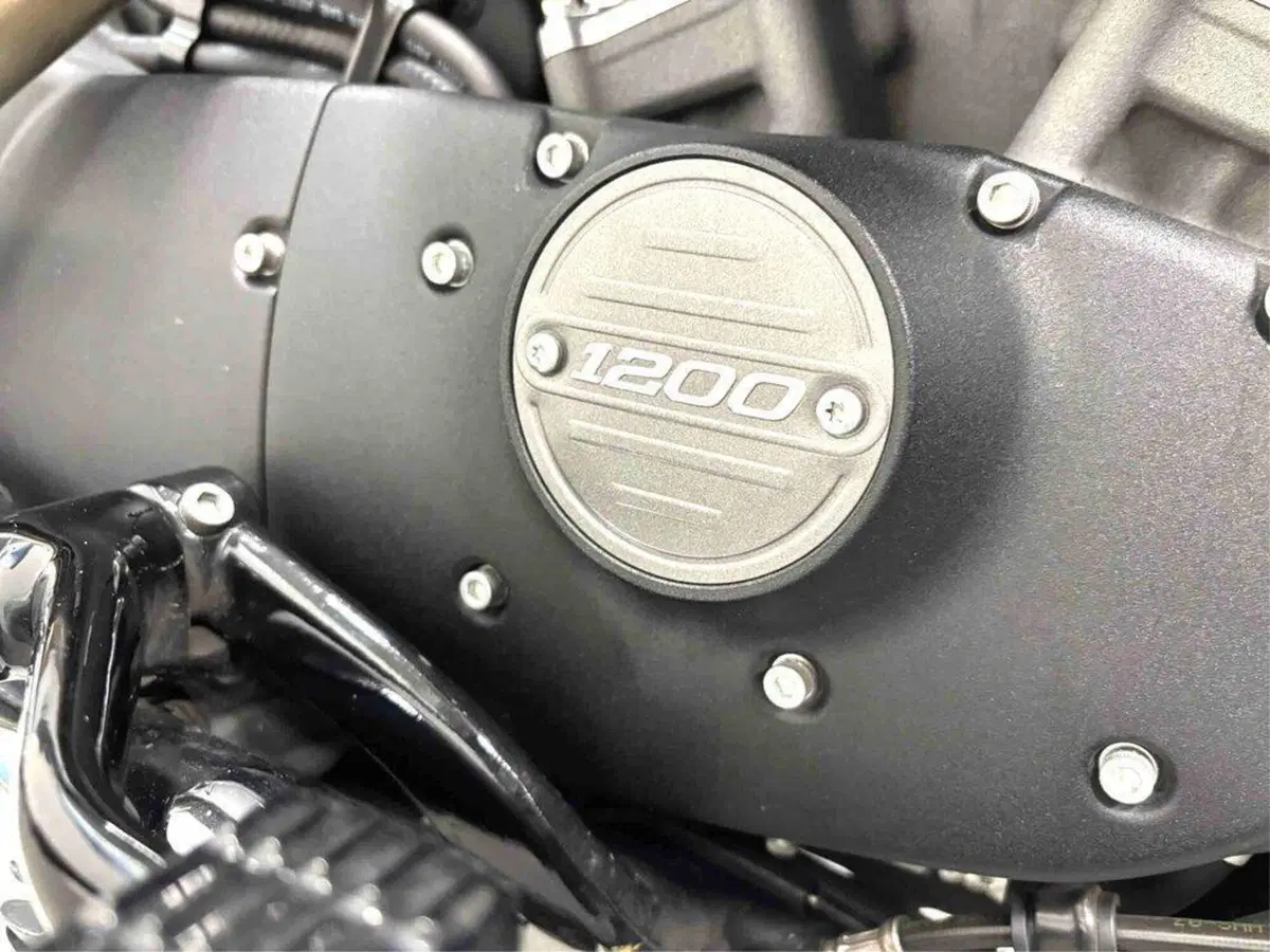 Harley-Davidson 1200 Roadster (2016 - 2017) - XL 1200R (5)