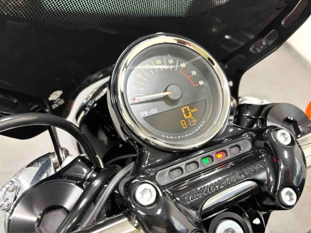 Harley-Davidson 1200 Roadster (2016 - 2017) - XL 1200R (8)