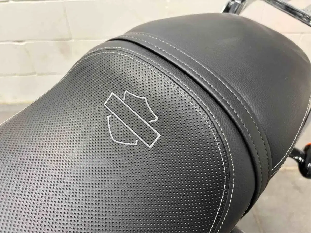 Harley-Davidson 1200 Roadster (2016 - 2017) - XL 1200R (9)
