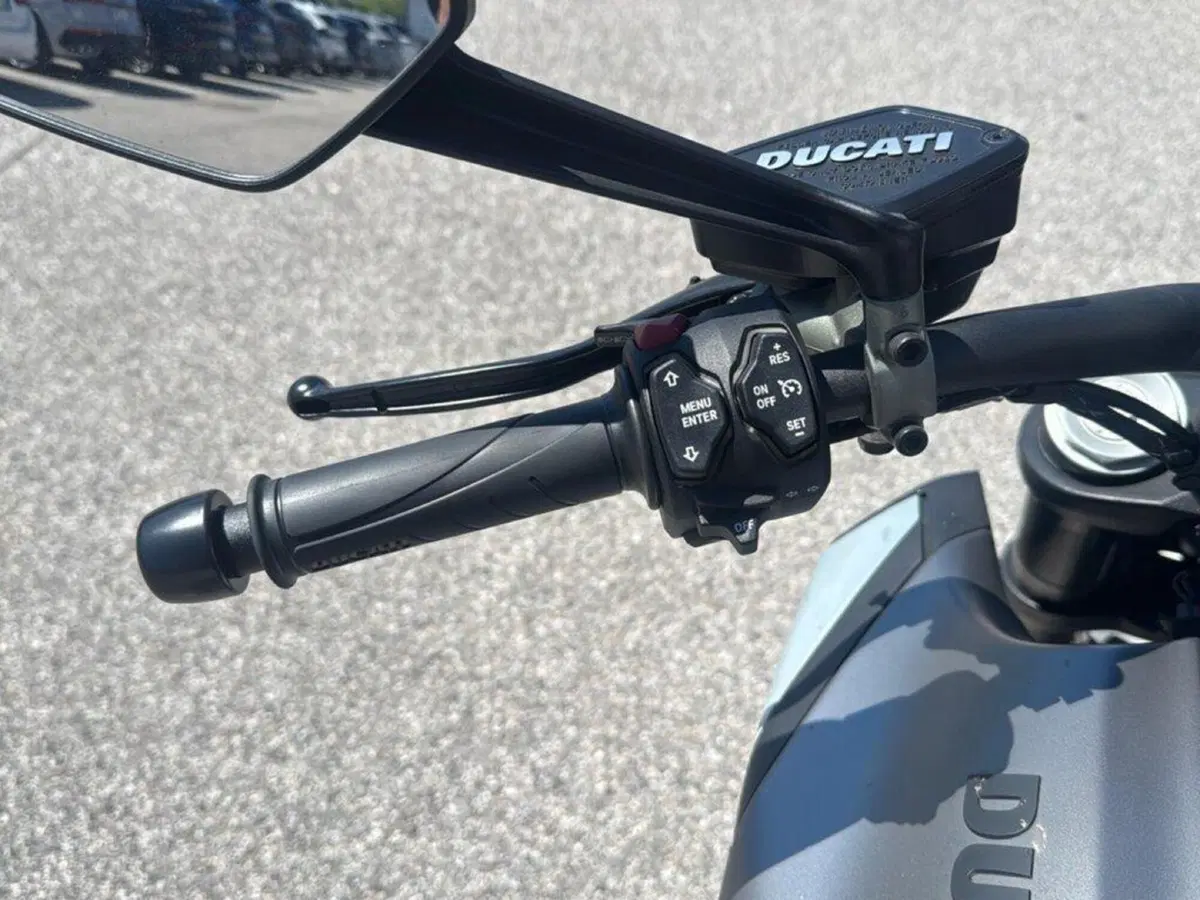 Ducati Diavel 1260 (2019 - 20) (9)