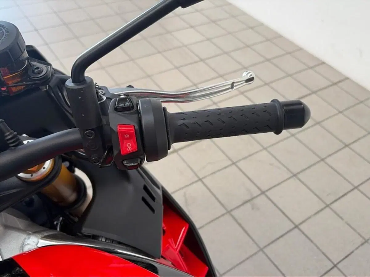 Aprilia Tuono V4 Factory (2021 - 24) (9)