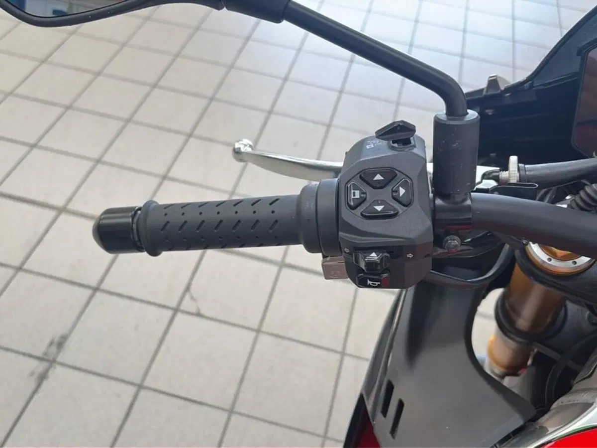 Aprilia Tuono V4 Factory (2021 - 24) (8)