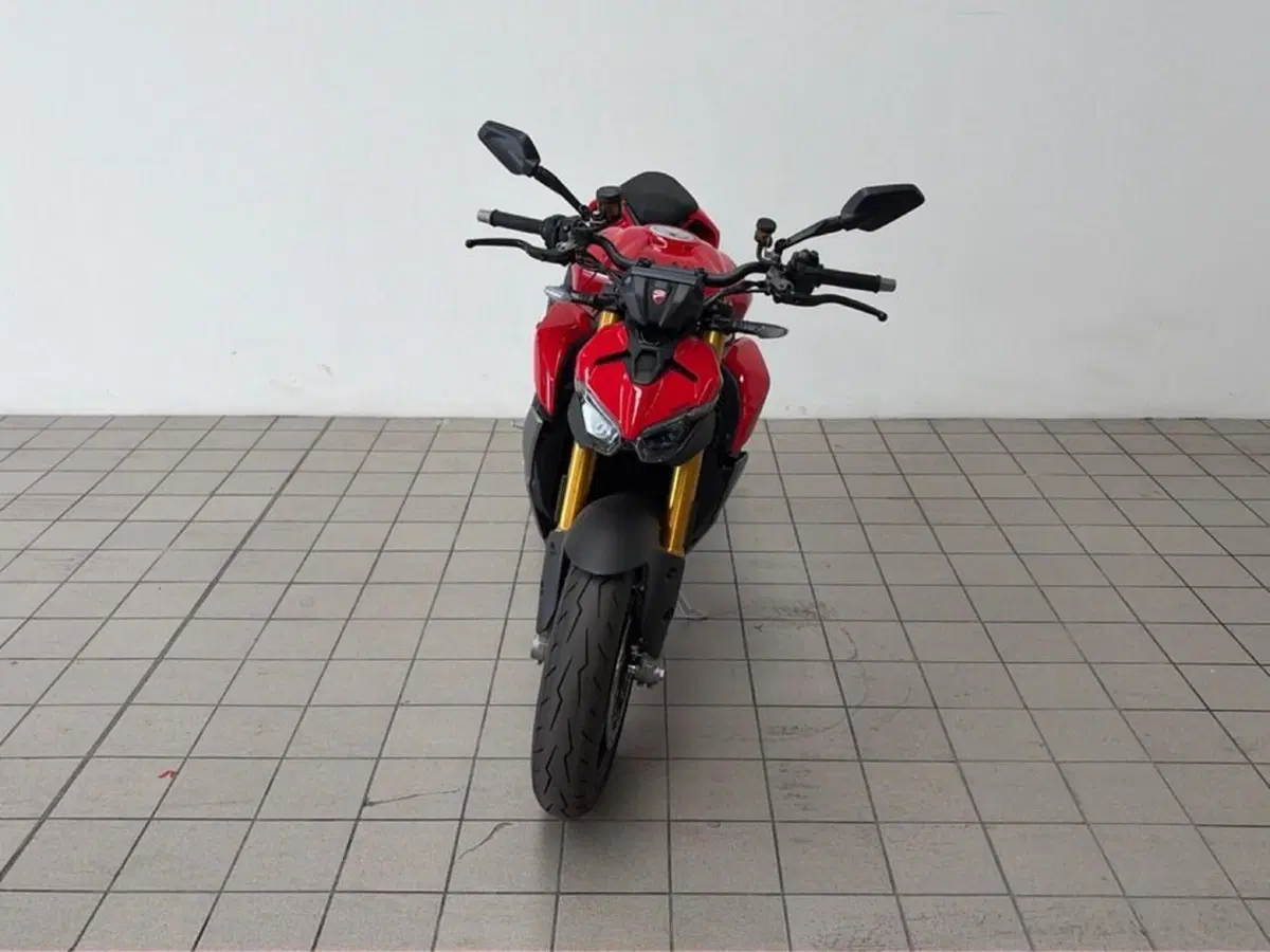 Ducati Streetfighter V2 S (2025 - 26) (2)