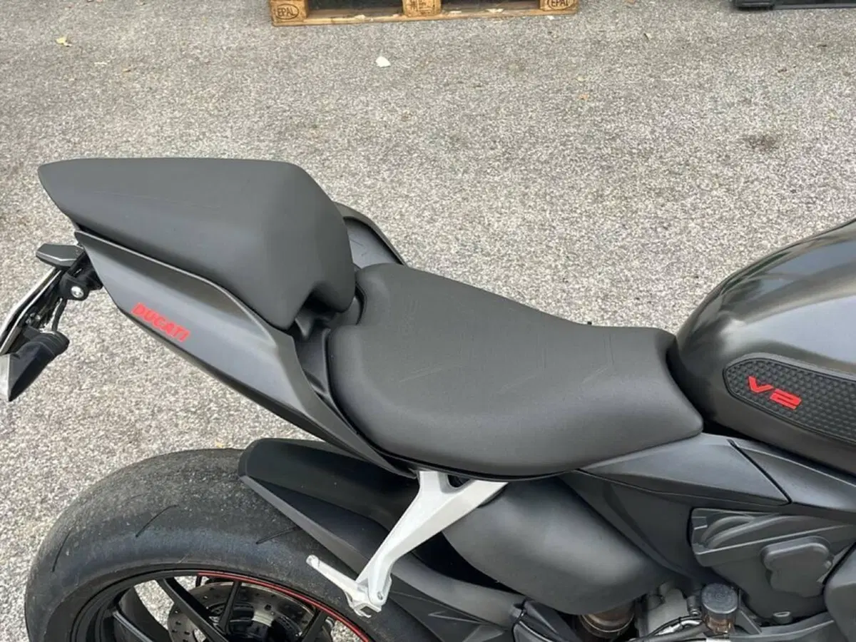 Ducati Panigale V2 955 (2020) (14)