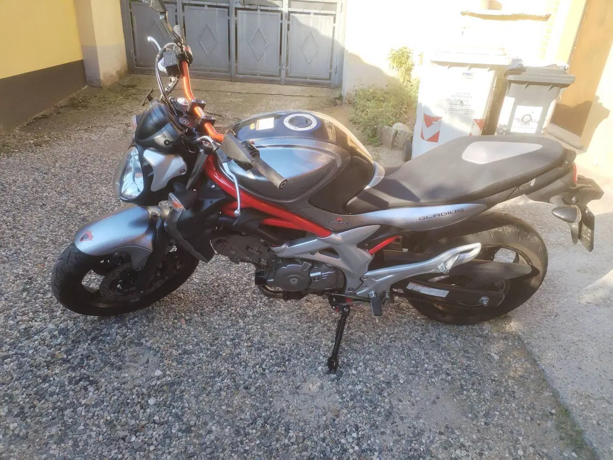 Suzuki SV 650 (2006 - 11) (3)