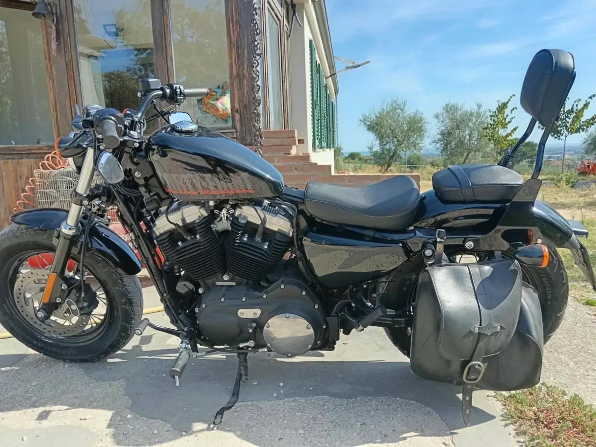 Harley-Davidson 1200 Forty-Eight (2010 - 15) (3)