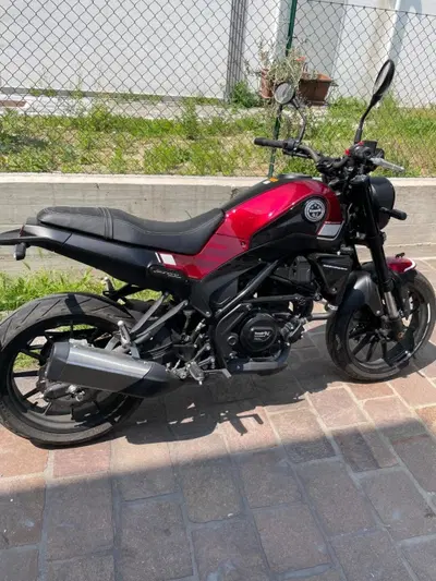 Benelli Leoncino 250 (2019 - 20) usata