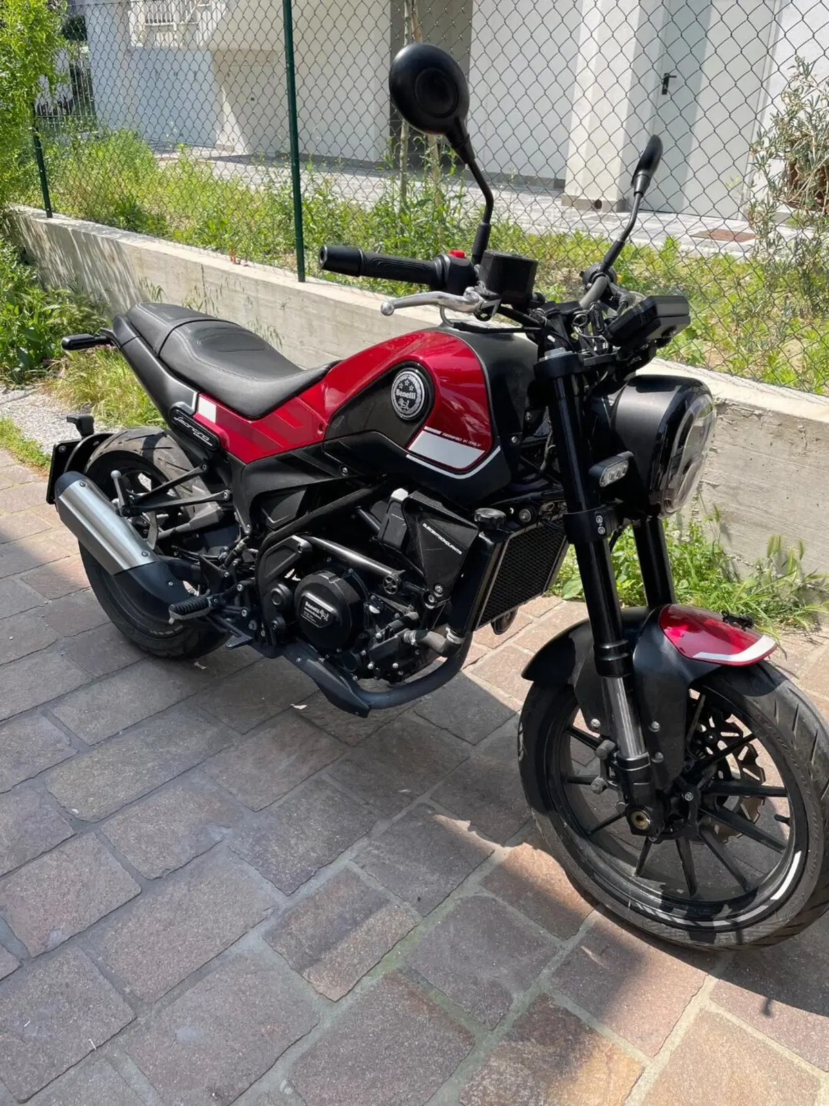 Benelli Leoncino 250 (2019 - 20) (2)