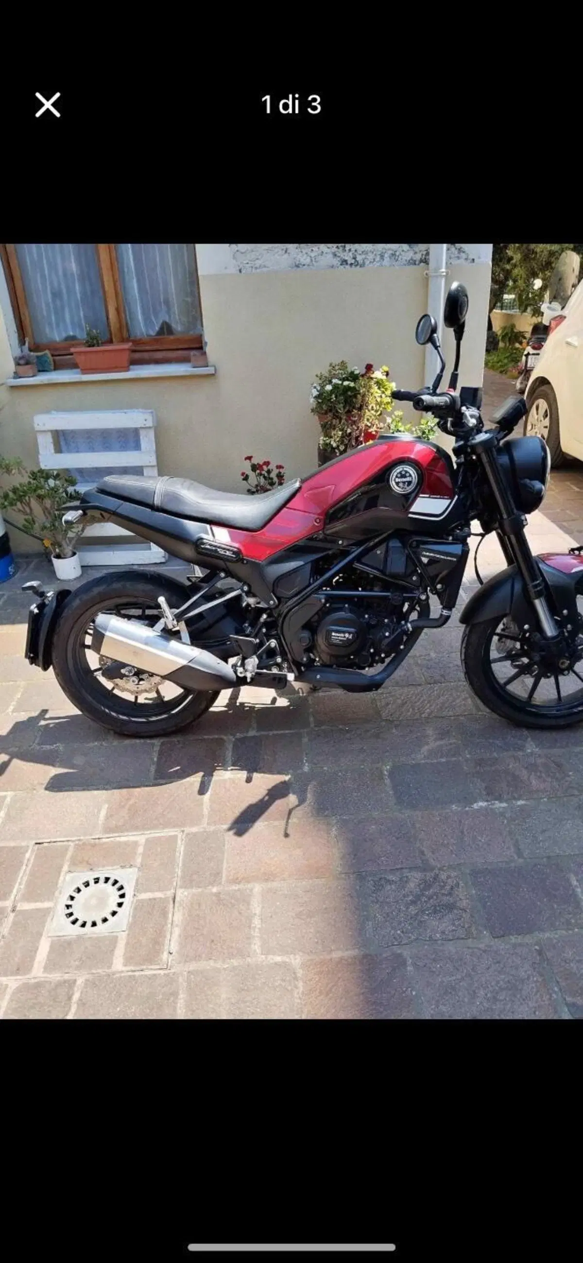 Benelli Leoncino 250 (2019 - 20) (3)