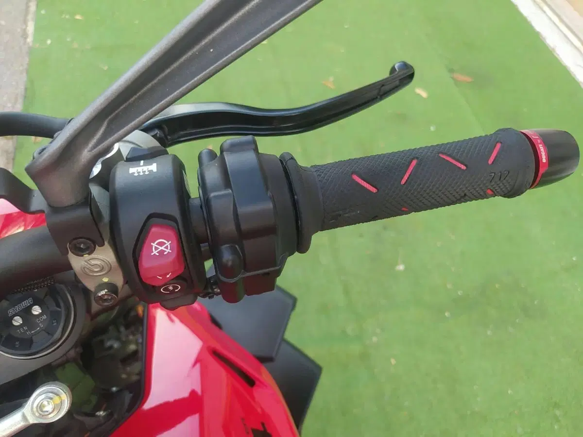 Ducati Streetfighter V4 (2023 - 24) (10)