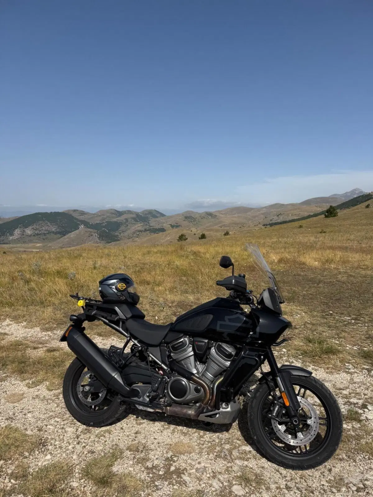 Harley-Davidson Pan America 1250 Special (2020 - 25) (3)