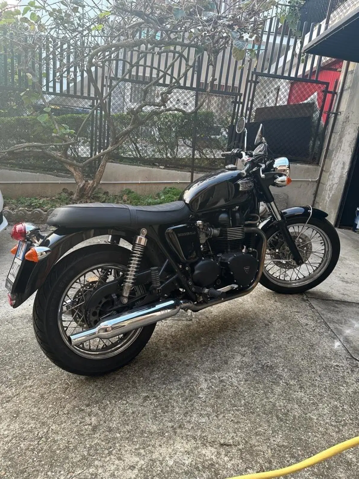 Triumph Bonneville (2007 - 16) (2)