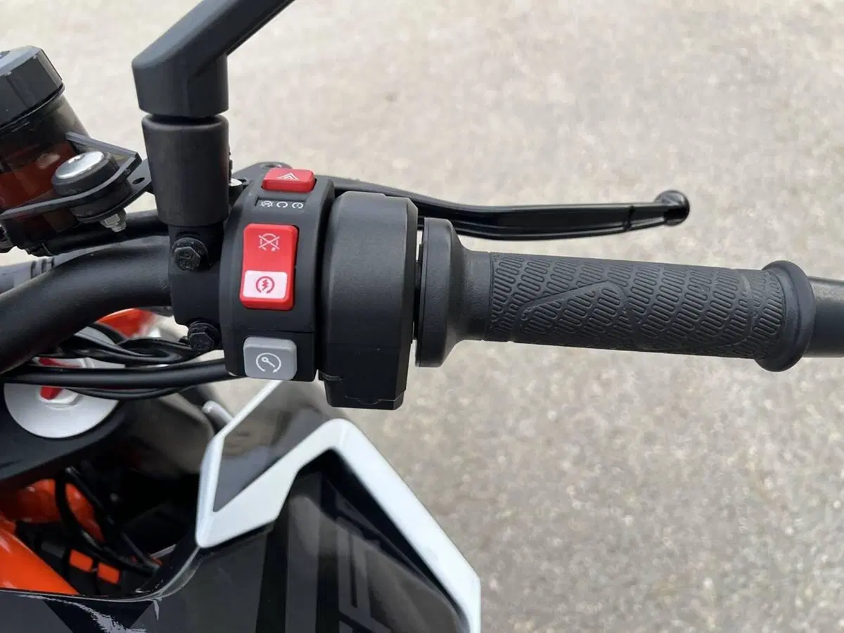 KTM 1290 Super Duke R (2019) (11)