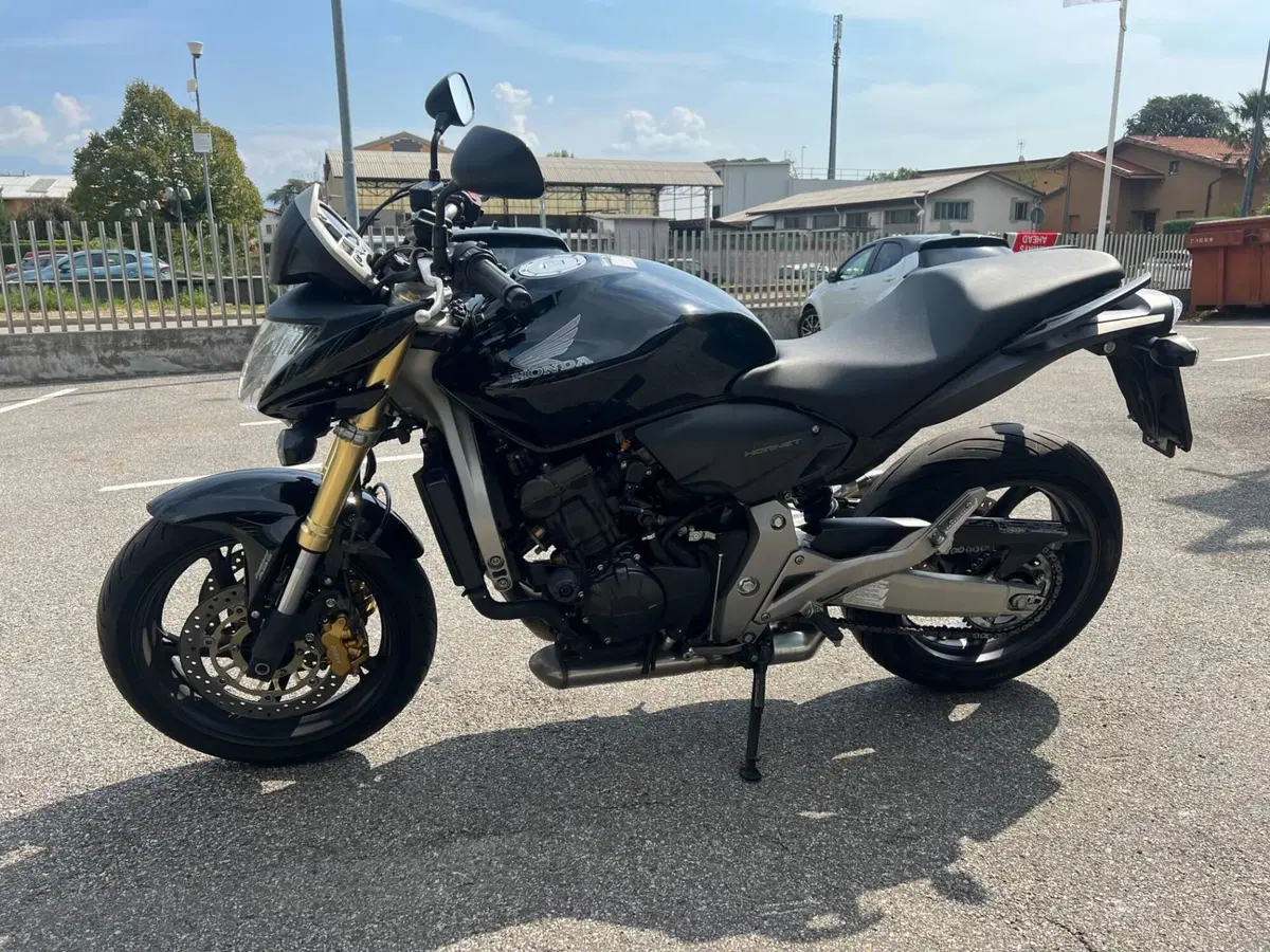 Honda Hornet 600 (2007 - 10) (3)